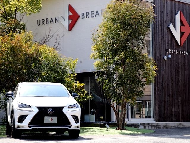 TOYOTA LEXUS NX300 2017 Image 31