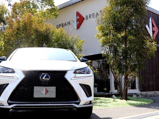 TOYOTA LEXUS NX300 2017 Image 31