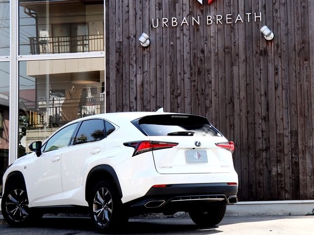 TOYOTA LEXUS NX300 2017 Image 31