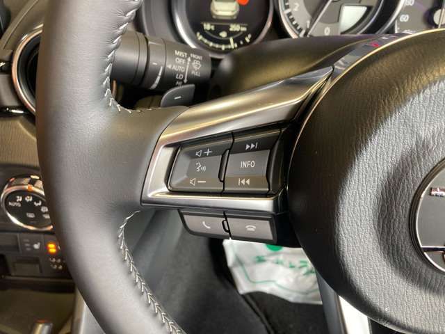 MITSUOKA HIMIKO 2024 Image 31