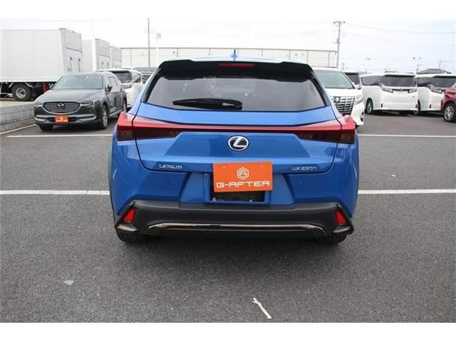 TOYOTA LEXUS UX250H 2019 Image 31