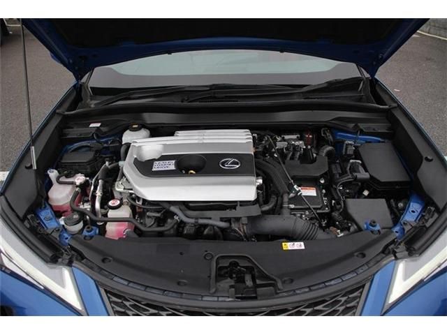 TOYOTA LEXUS UX250H 2019 Image 31