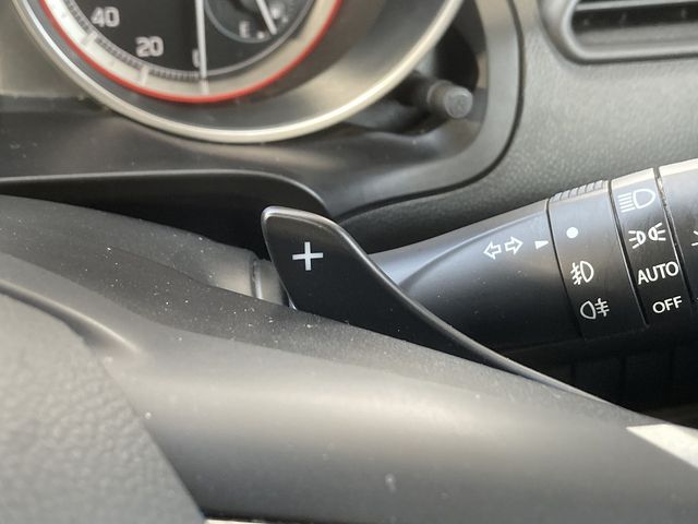 SUZUKI SWIFT 4WD 2017 Image 31