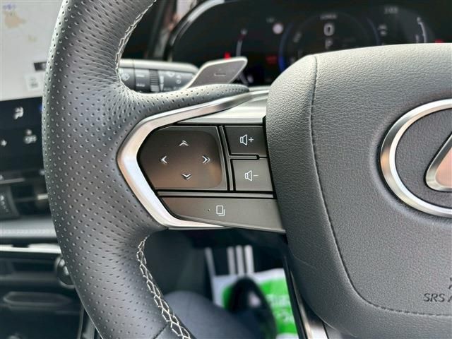 TOYOTA LEXUS NX350H AWD 2023 Image 31