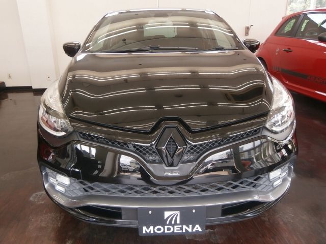 RENAULT LUTECIA 2019 Image 31