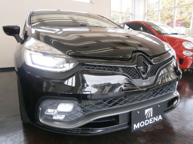 RENAULT LUTECIA 2019 Image 31