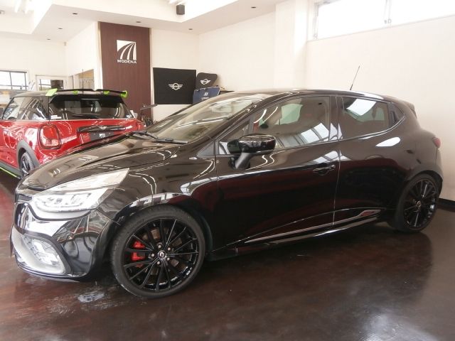 RENAULT LUTECIA 2019 Image 31