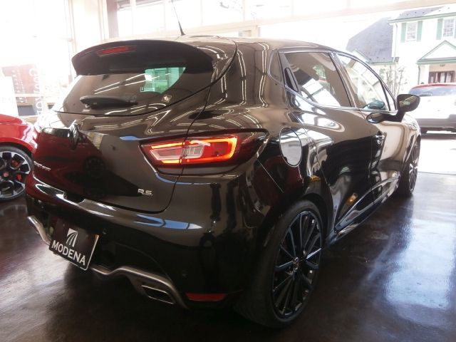 RENAULT LUTECIA 2019 Image 31