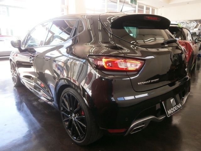 RENAULT LUTECIA 2019 Image 31