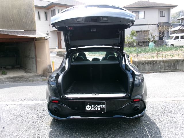 ASTON MARTIN SUV 2021 Image 31