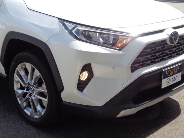 TOYOTA RAV4 4WD 2019 Image 31