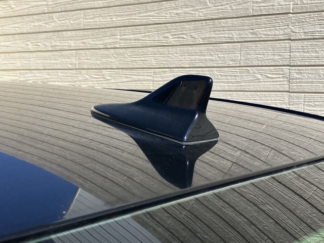 TOYOTA LEXUS HS250H 2010 Image 31