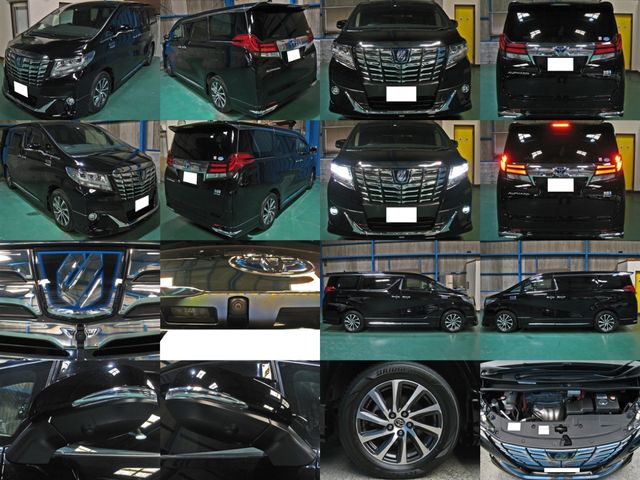TOYOTA ALPHARD HYBRID 4WD 2016 Image 31