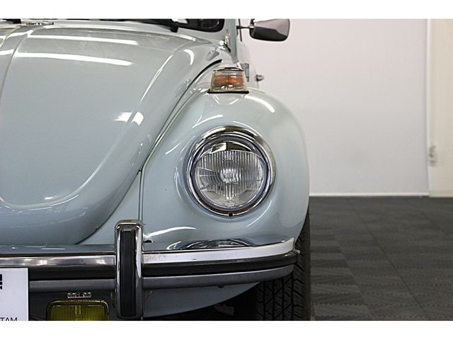 VOLKSWAGEN BEETLE 1981 Image 31