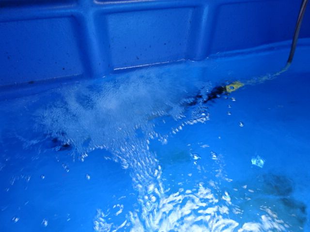 NISSAN ATLAS 2011 Image 31