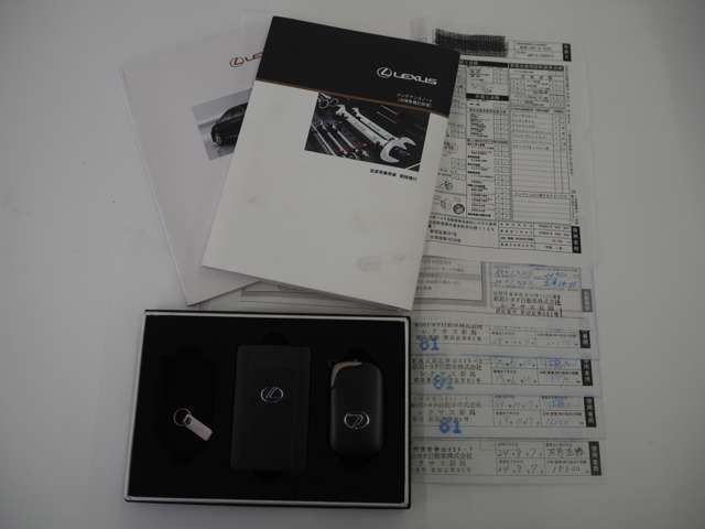 TOYOTA LEXUS HS250H 2009 Image 31