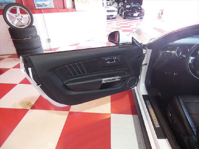 FORD MUSTANG 2015 Image 31