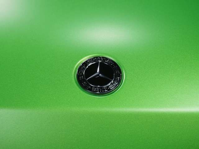 AMG AMG G CLASS 2022 Image 31