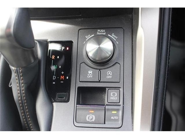 TOYOTA LEXUS NX300 2020 Image 31