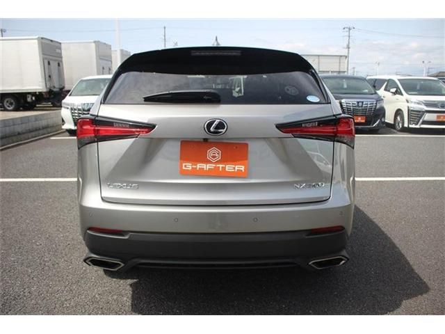 TOYOTA LEXUS NX300 2020 Image 31