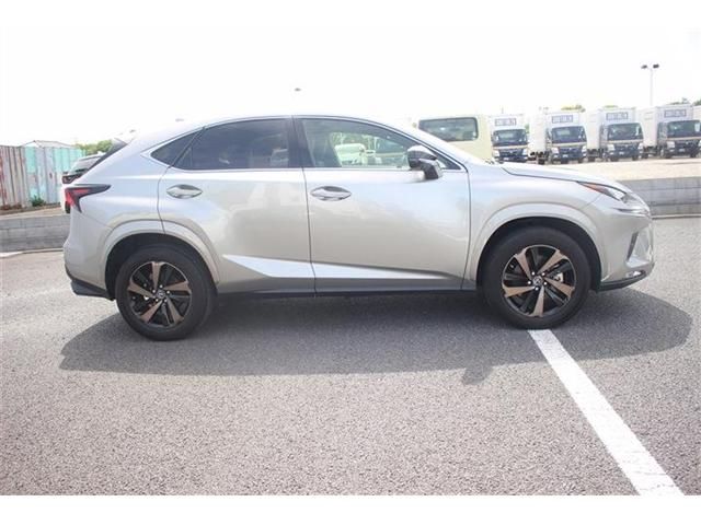 TOYOTA LEXUS NX300 2020 Image 31