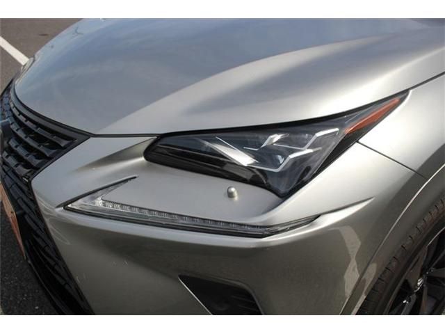 TOYOTA LEXUS NX300 2020 Image 31