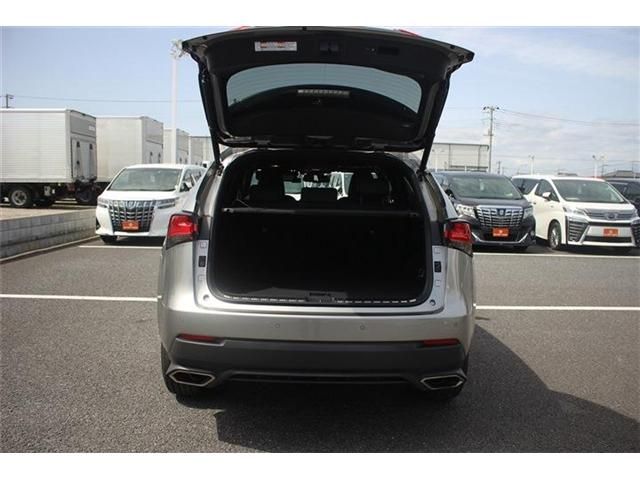 TOYOTA LEXUS NX300 2020 Image 31