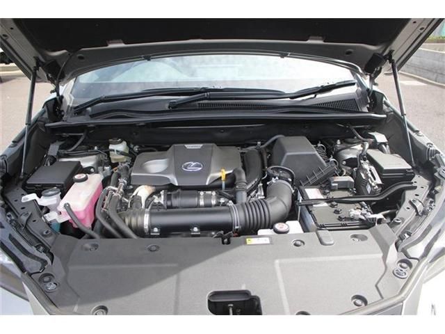 TOYOTA LEXUS NX300 2020 Image 31