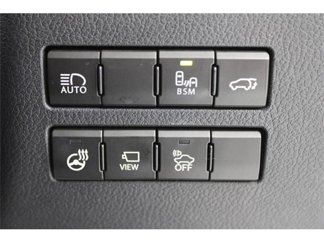 TOYOTA LEXUS NX300H 2018 Image 31