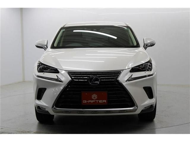 TOYOTA LEXUS NX300H 2018 Image 31