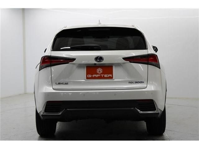 TOYOTA LEXUS NX300H 2018 Image 31