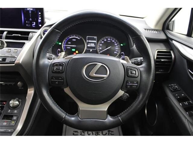 TOYOTA LEXUS NX300H 2018 Image 31