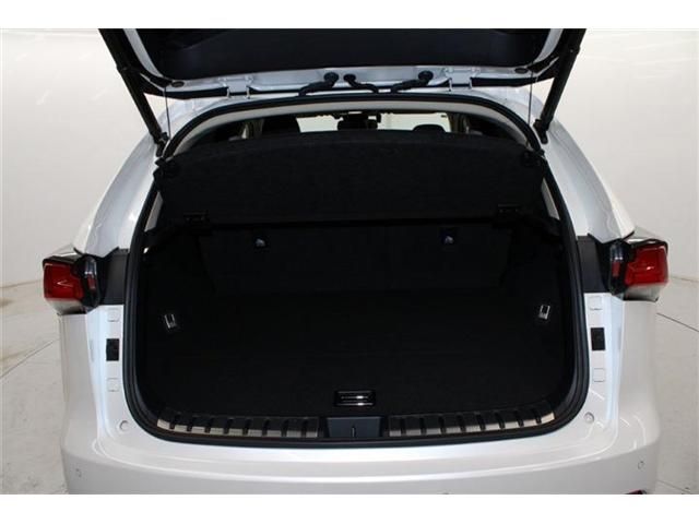 TOYOTA LEXUS NX300H 2018 Image 31