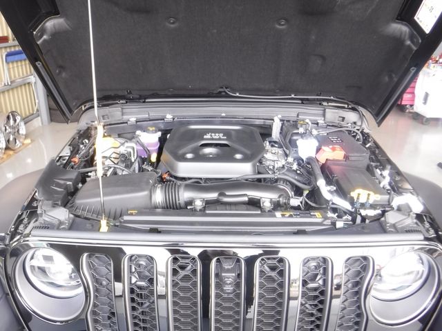 JEEP WRANGLER UNLIMI 2022 Image 31