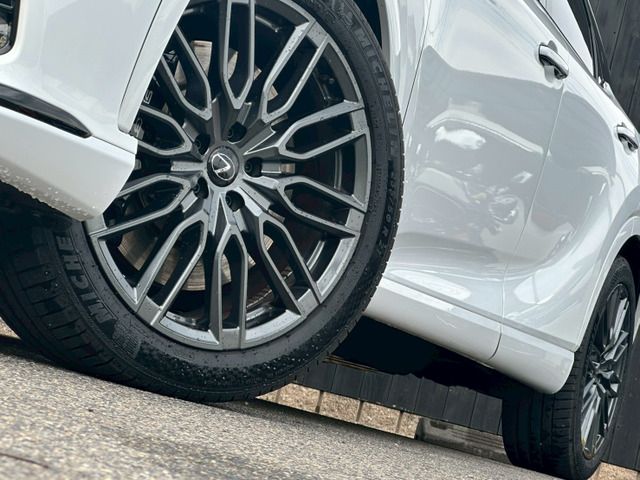 TOYOTA LEXUS RX500H 2023 Image 31