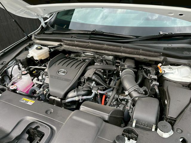 TOYOTA LEXUS RX500H 2023 Image 31