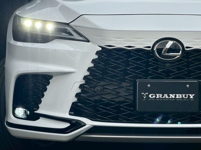 TOYOTA LEXUS RX500H 2023 Image 31