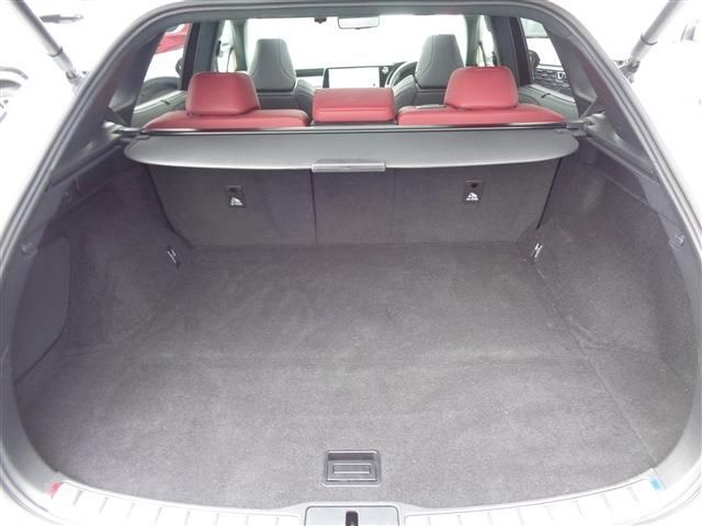 TOYOTA LEXUS RX500H 2023 Image 31