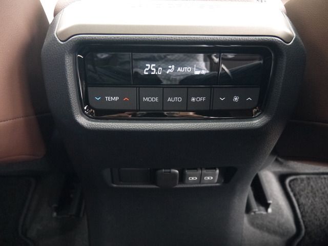 TOYOTA LANDCRUISER 250 2024 Image 31