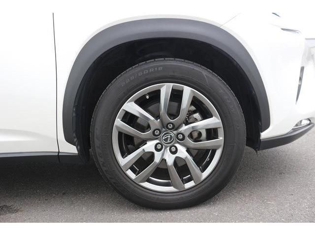 TOYOTA LEXUS NX300 2017 Image 31