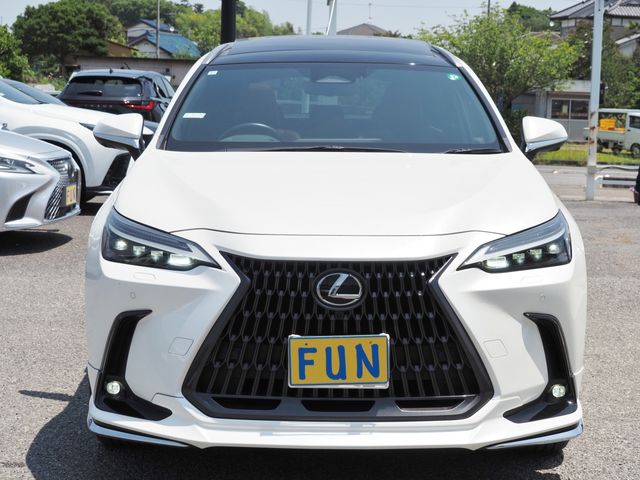 TOYOTA LEXUS NX350H 2023 Image 31