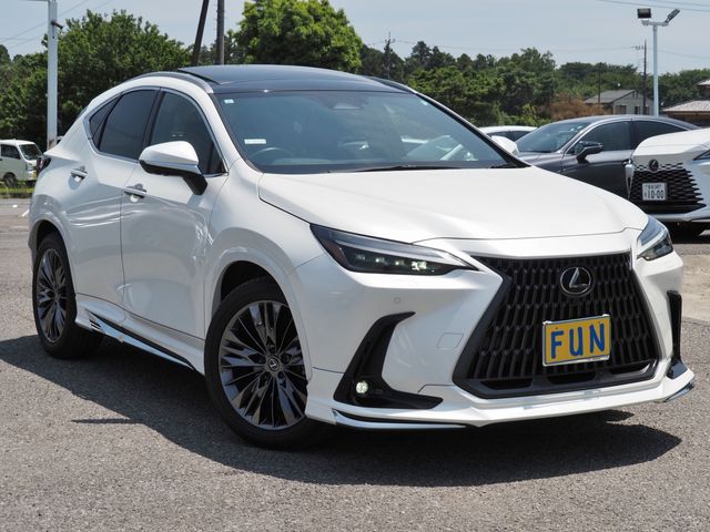 TOYOTA LEXUS NX350H 2023 Image 31