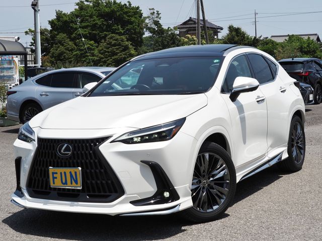 TOYOTA LEXUS NX350H 2023 Image 31