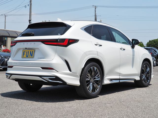 TOYOTA LEXUS NX350H 2023 Image 31