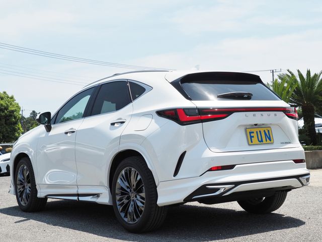 TOYOTA LEXUS NX350H 2023 Image 31