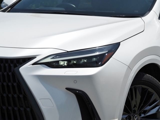 TOYOTA LEXUS NX350H 2023 Image 31