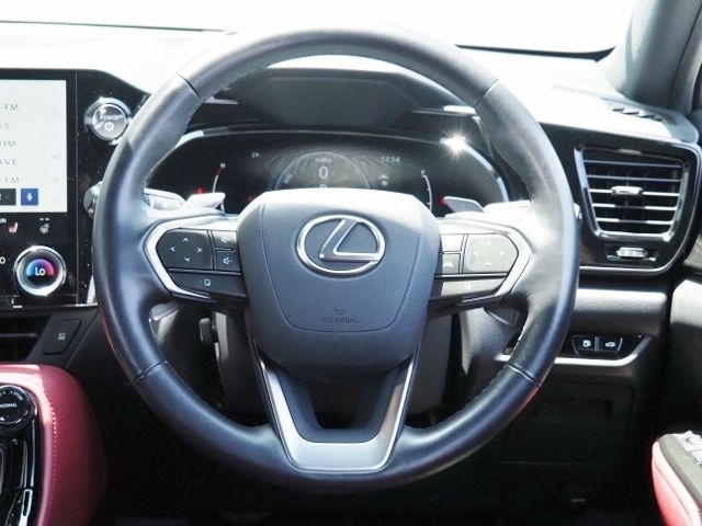 TOYOTA LEXUS NX350H 2023 Image 31