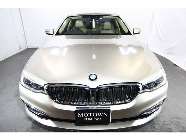 BMW 5SERIES SEDAN 2018 Image 31