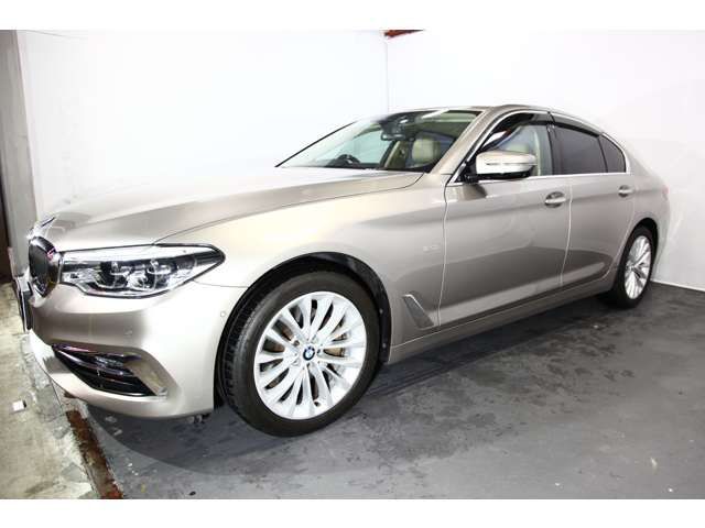 BMW 5SERIES SEDAN 2018 Image 31