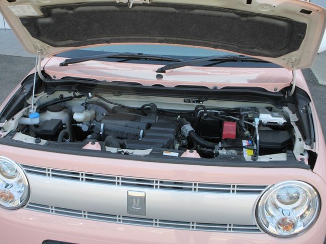 SUZUKI ALTO LAPIN 2018 Image 31